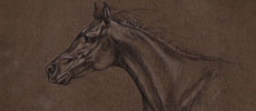 Frederique Lavergne - Horse Utopia